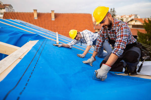 Quick and Trustworthy Emergency Roof Repair Services in Longwood, FL