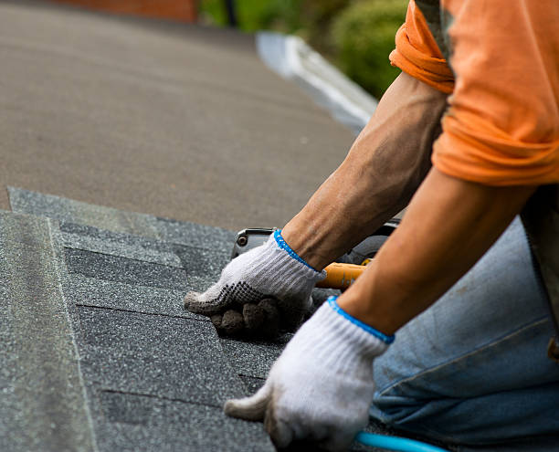 Roof Gutter Cleaning in Longwood, FL